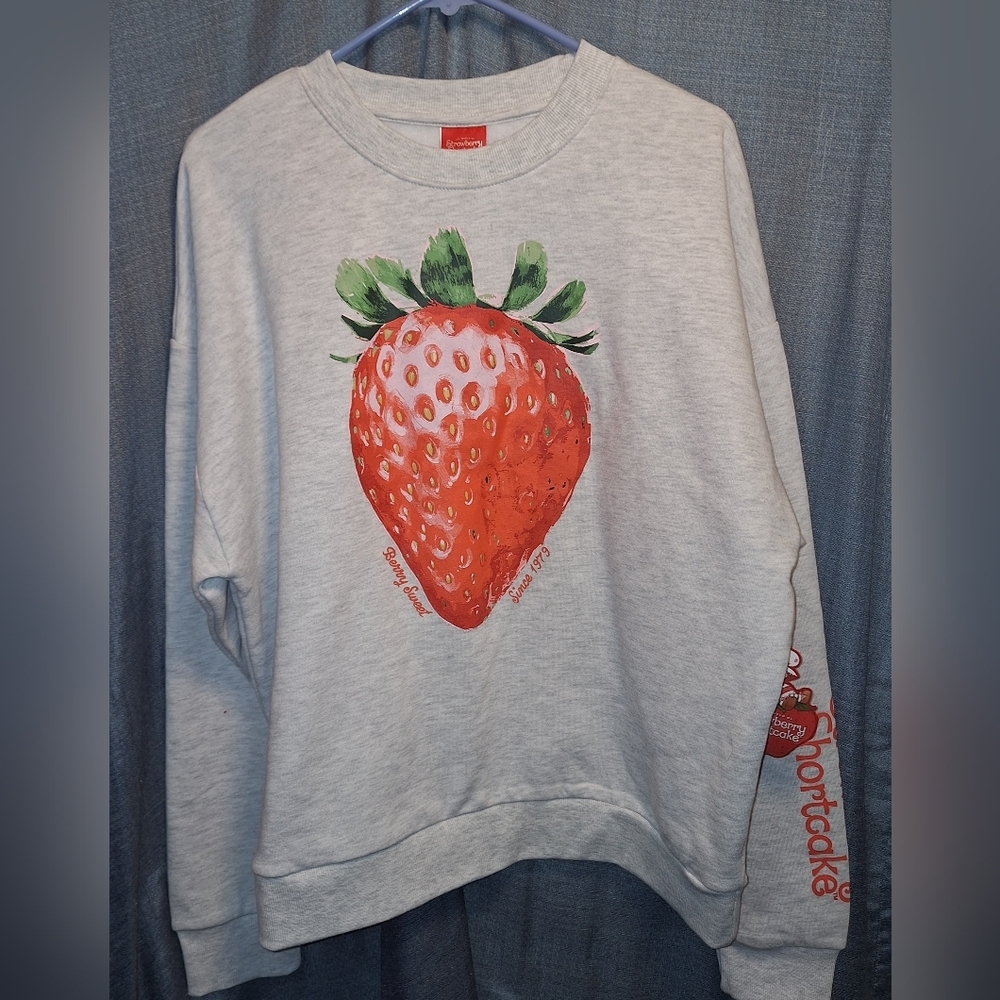NWT Strawberry Shortcake Gray Graphic Sweatshirt Medium